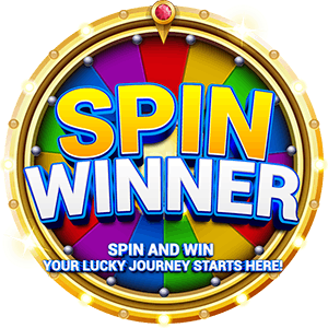 SPIN WINNER